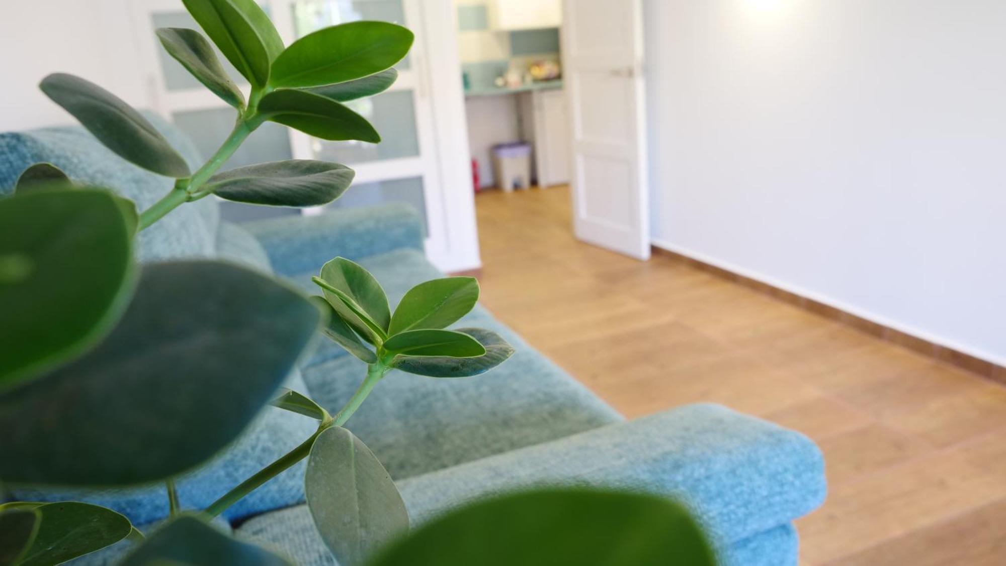 Tuerkiz Kanaan Apartman Puerto de Santiago  Extérieur photo