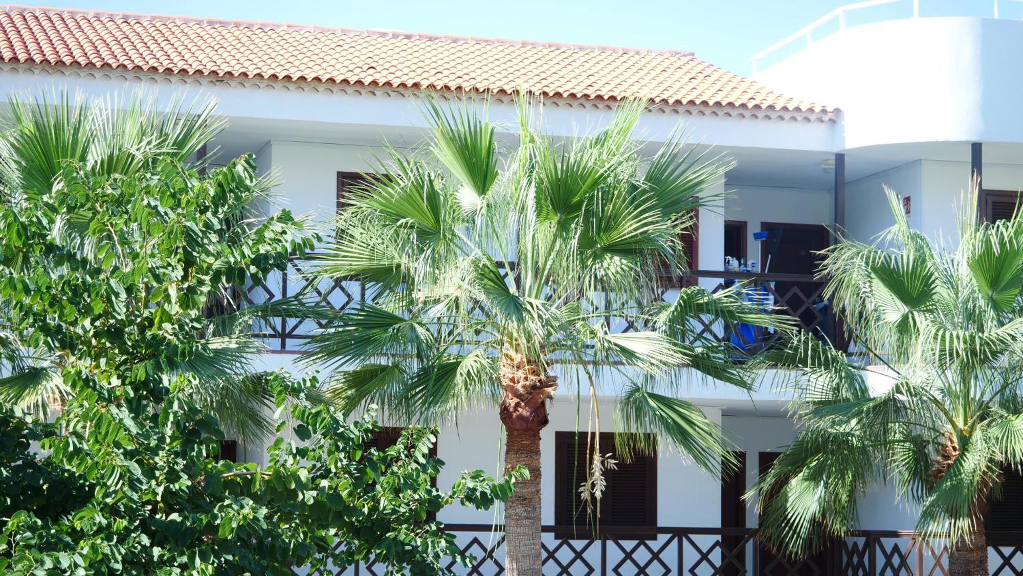 Tuerkiz Kanaan Apartman Puerto de Santiago  Extérieur photo